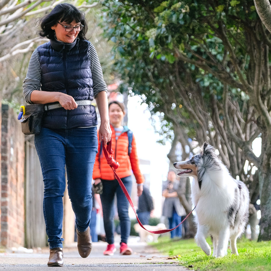 Radica walking a dog on a loose lead