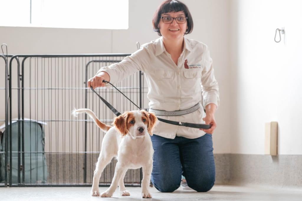Radica at work on puppy recall in puppy class 1